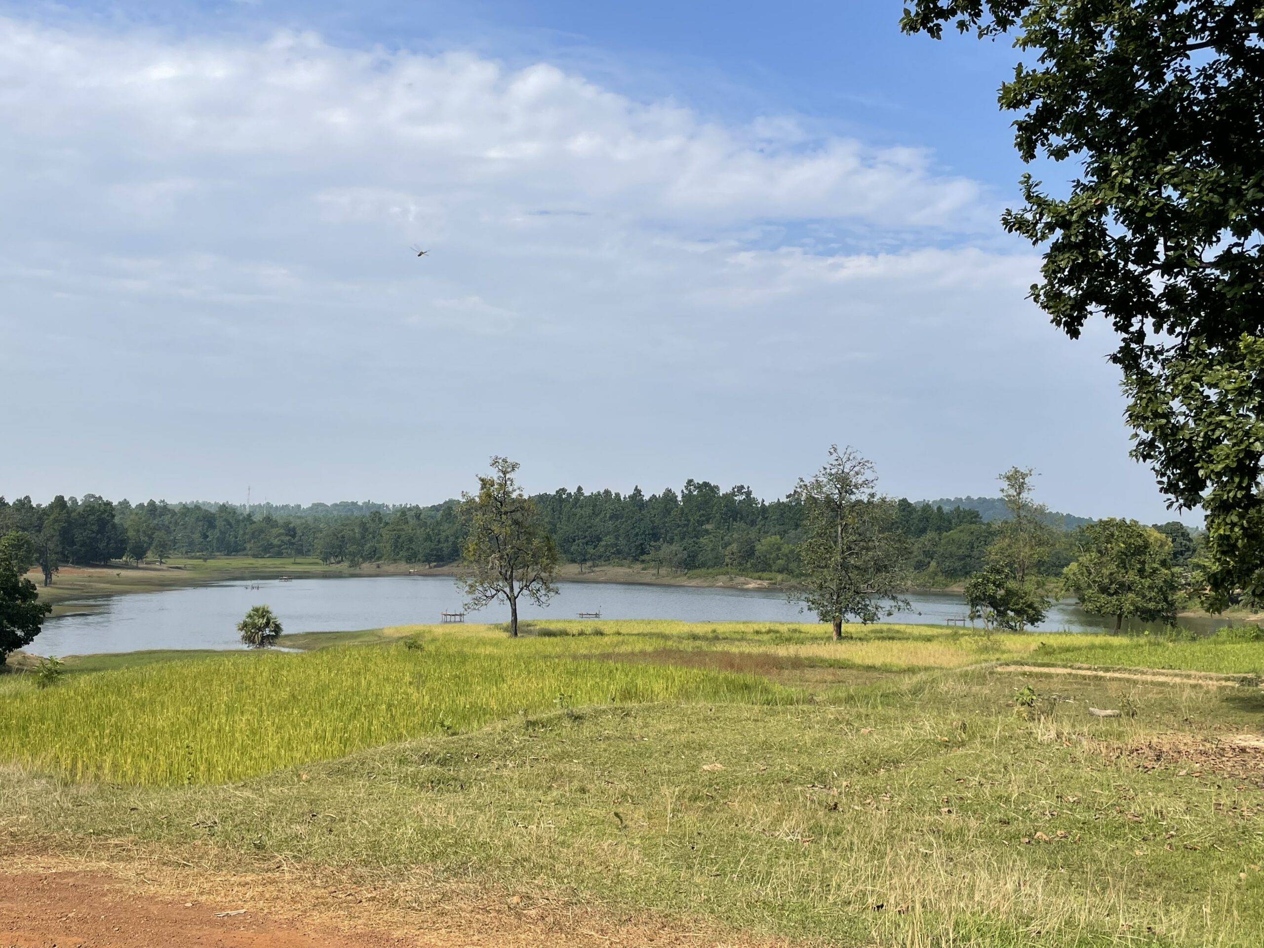 DAY-3 : GOPIBALLAVPUR TOUR