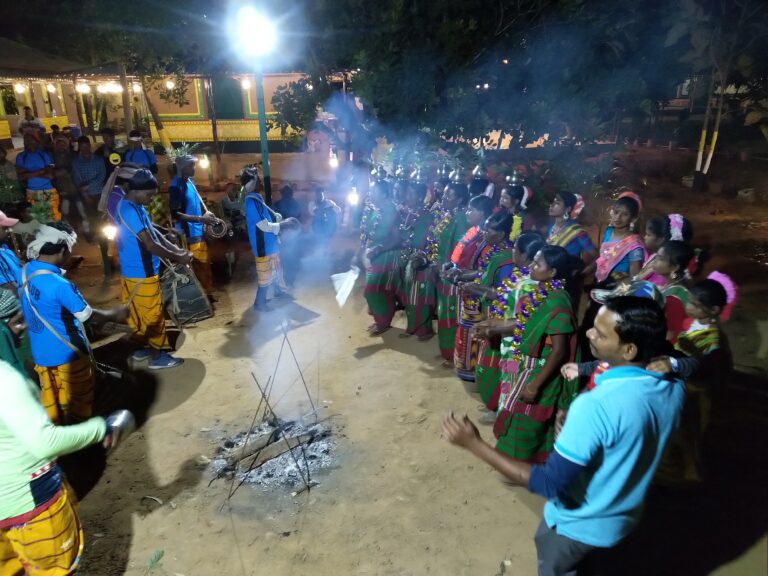 Traditional tribal dance performance
